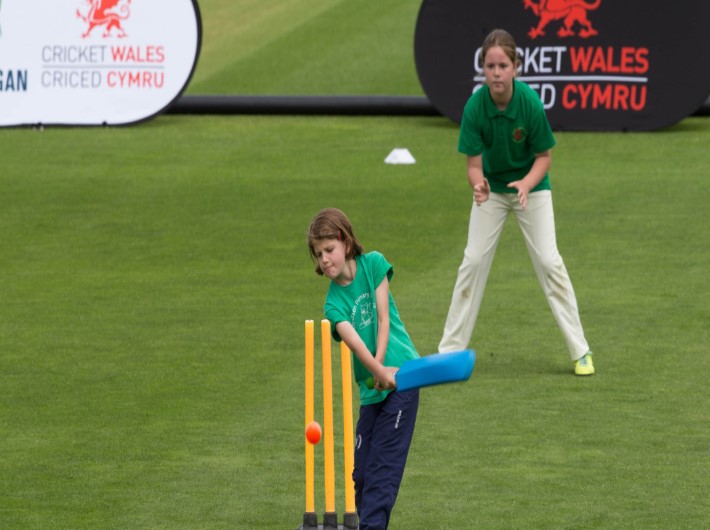 Ashes Partner Schools Project- Builth Wells Primary