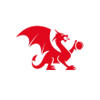 North Wales National Counties